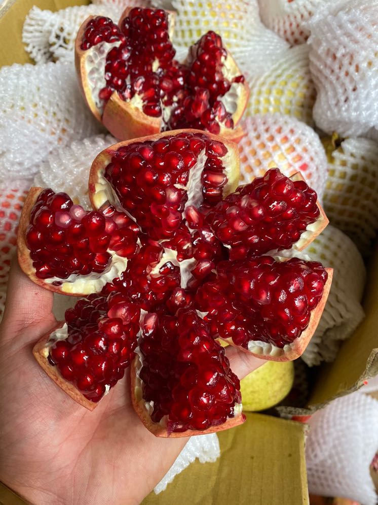 会理突尼斯软籽石榴特大果5斤